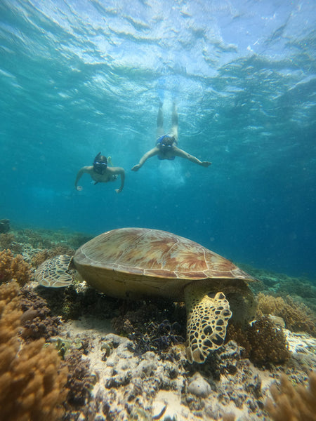 De Top Activiteiten op Gili Trawangan: Van Snorkelen met Schildpadden tot Feesten op het Strand