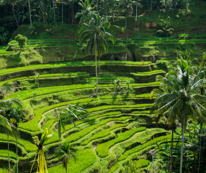 7 redenen waarom Bali altijd een goed idee is!