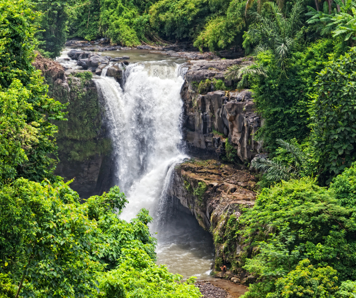 De vier mooiste watervallen van Bali