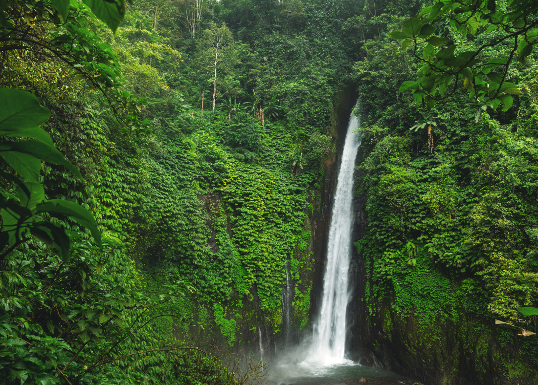 bali nusa penida